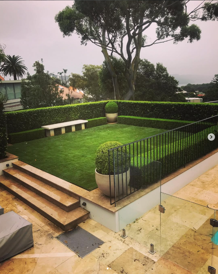 Shaped hedges and tidy borders